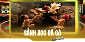 Tổng quan thông tin sảnh AOG đá gà tại Rwin