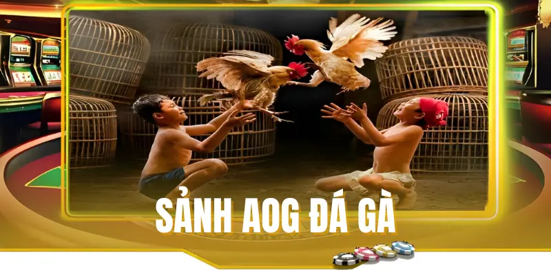 Tổng quan thông tin sảnh AOG đá gà tại Rwin