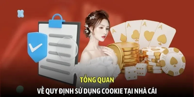 Tìm hiểu thông tin cơ bản về chính sách cookie