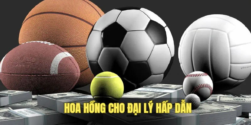 Chính sách hoa hồng cao cho đại lý