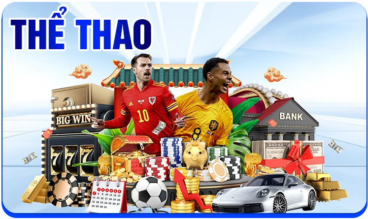 icon-the-thao-rwin